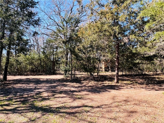 view of local wilderness