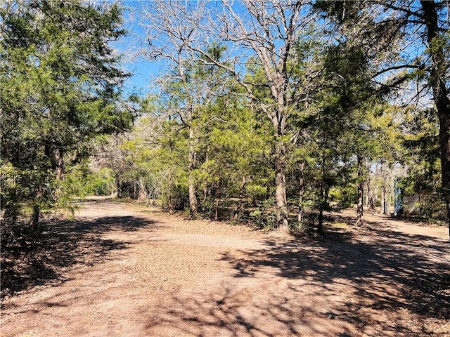 view of local wilderness