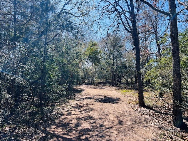 view of landscape featuring a wooded view