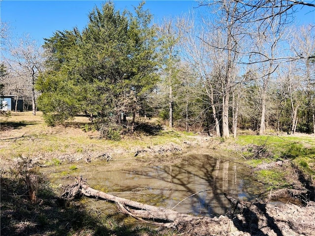 view of local wilderness with a forest view