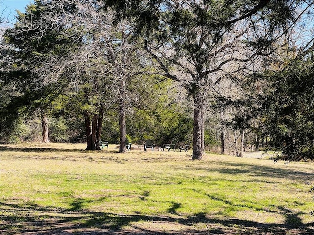 view of local wilderness