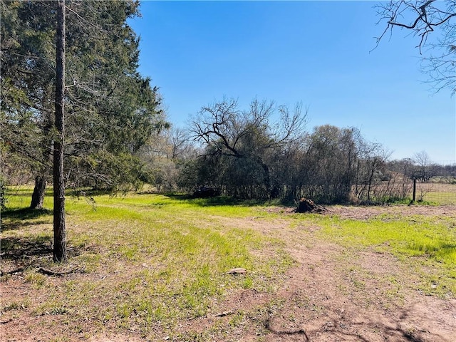 view of yard with dirt driveway