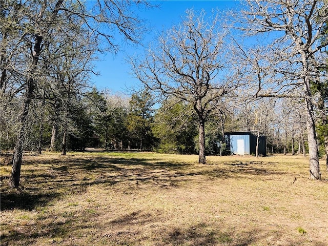 view of yard with an outdoor structure