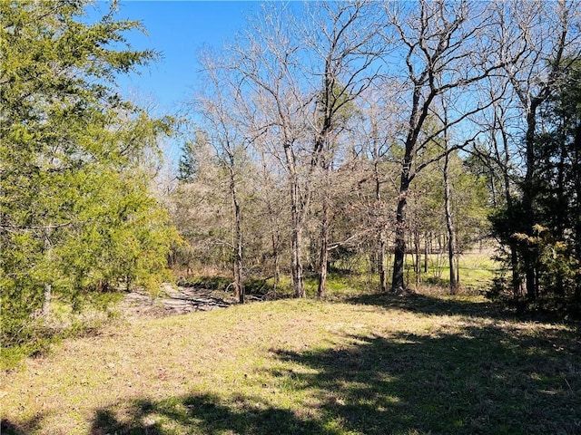 view of nature with a wooded view