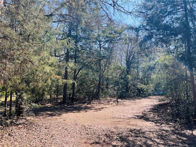 view of nature with a wooded view