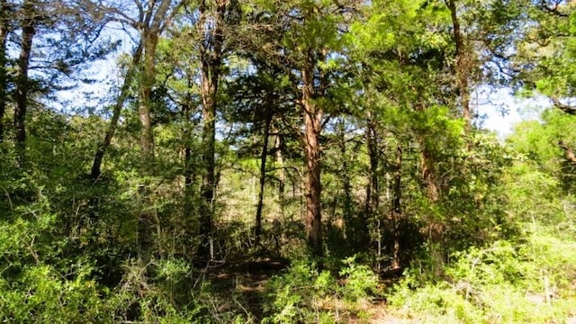 TBD Jackrabbit Ln, Hearne, TX 77859 - photo 10