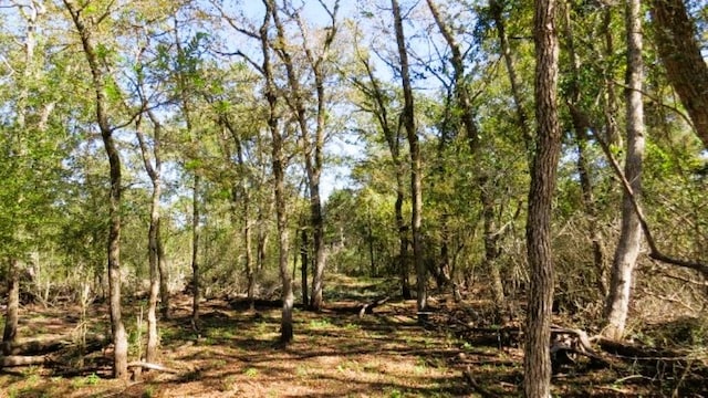 TBD Jackrabbit Ln, Hearne, TX 77859 - photo 6