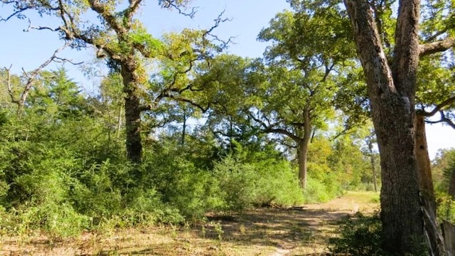 TBD Jackrabbit Ln, Hearne, TX 77859 - photo 12