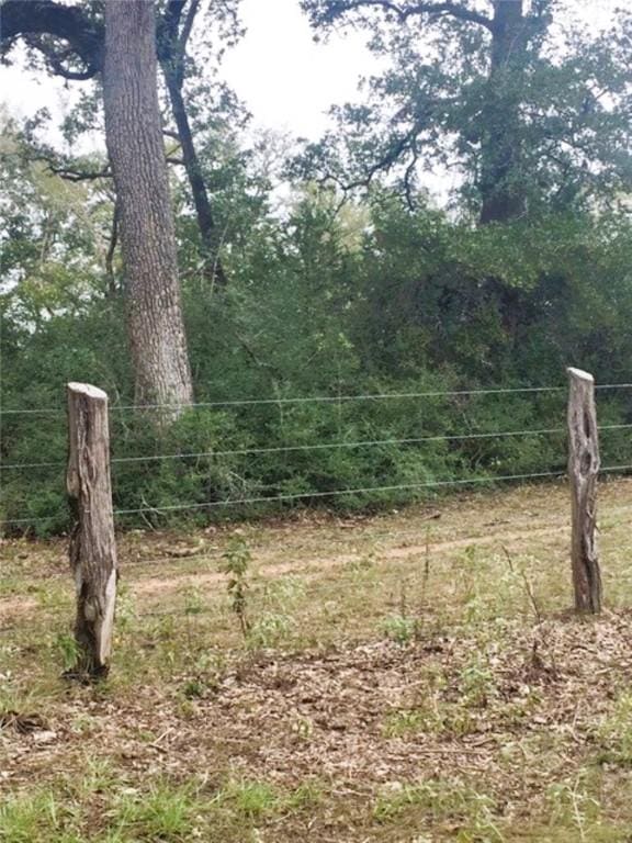 TBD Jackrabbit Ln, Hearne, TX 77859 - photo 4