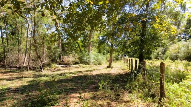 TBD Jackrabbit Ln, Hearne, TX 77859 - photo 9