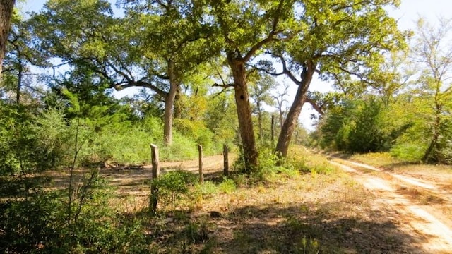 TBD Jackrabbit Ln, Hearne, TX 77859 - photo 13
