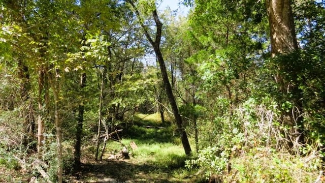 TBD Jackrabbit Ln, Hearne, TX 77859 - photo 11
