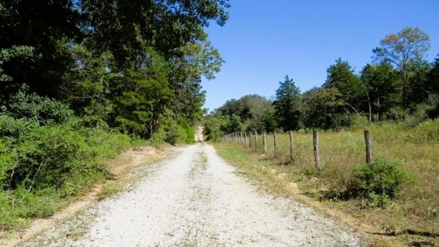 TBD Jackrabbit Ln, Hearne, TX 77859 - photo 16