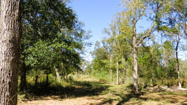 TBD Jackrabbit Ln, Hearne, TX 77859 - photo 5
