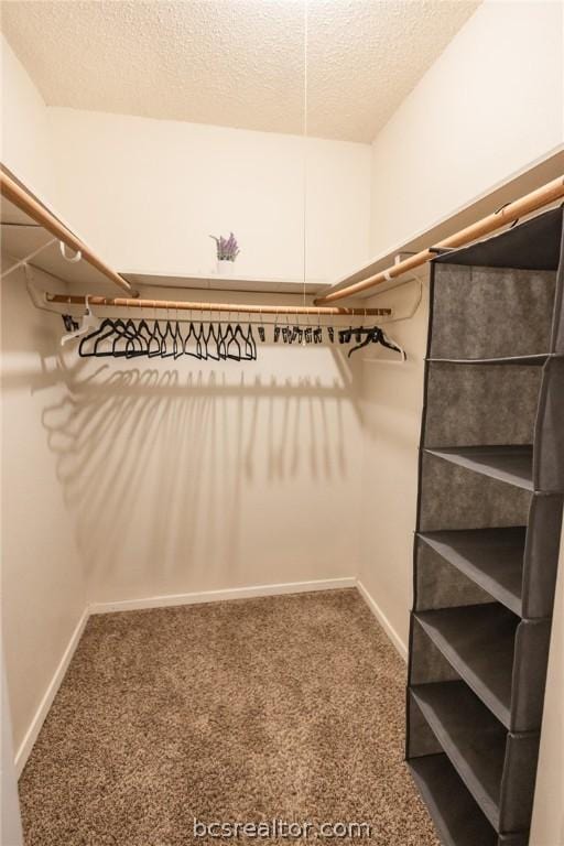 spacious closet with carpet flooring