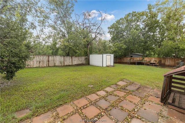 view of yard with a storage shed and a trampoline