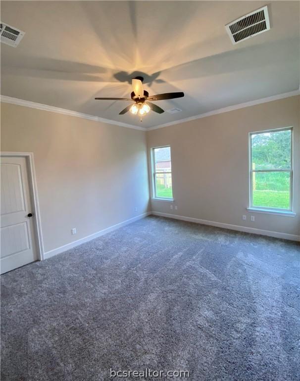 spare room featuring carpet, a wealth of natural light, and crown molding