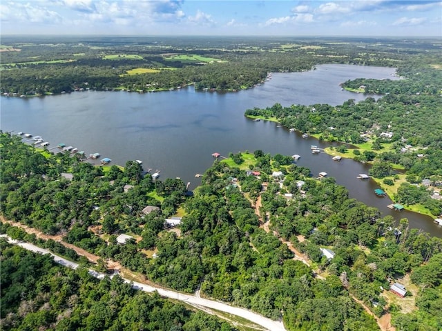 11188 Riley Green Rd, Franklin, TX 77856 - aerial overview of property's location with a nearby body of water and a forest