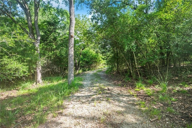 11188 Riley Green Rd, Franklin, TX 77856 - view of road with a forest view
