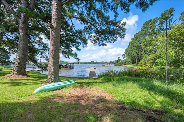 11188 Riley Green Rd, Franklin, TX 77856 - view of yard featuring a boat dock and a water view