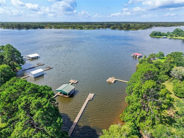 11188 Riley Green Rd, Franklin, TX 77856 - bird's eye view of a large body of water