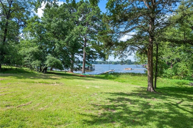 11188 Riley Green Rd, Franklin, TX 77856 - view of grassy yard with a water view