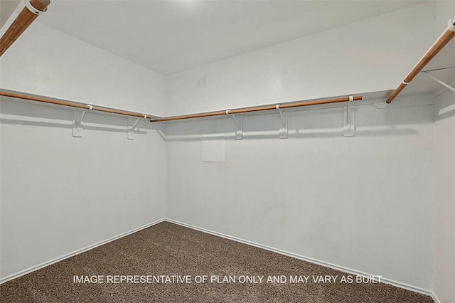 205 Rockbridge Dr, Huntsville, TX 77340 - walk in closet with dark colored carpet