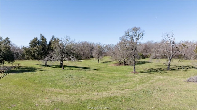 view of yard with a rural view