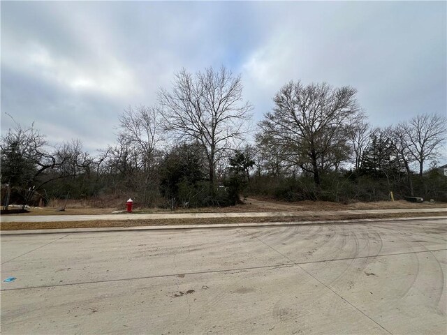 1963 Arcadia Bluffs Dr, College Station, TX 77845
