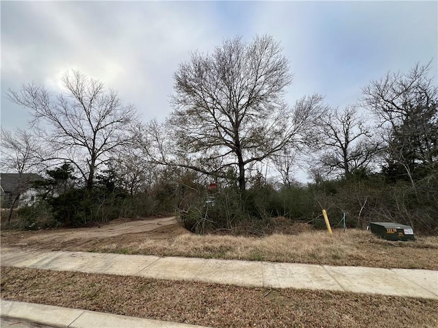 1963 Arcadia Bluffs Dr, College Station, TX 77845