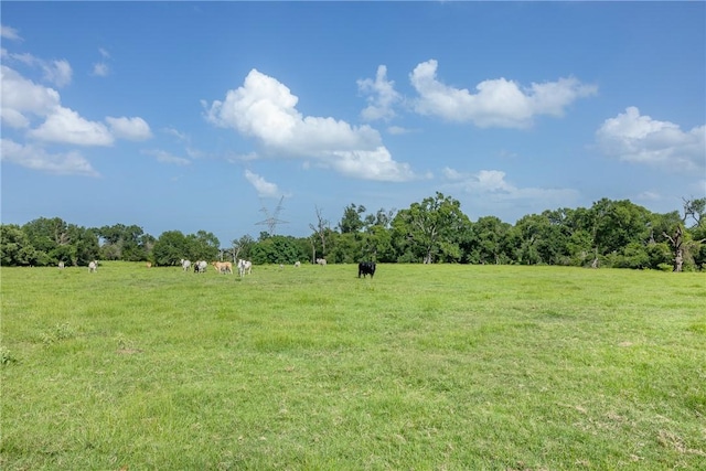 TBD Red Rock Rd, Franklin, TX 77856 - photo 11