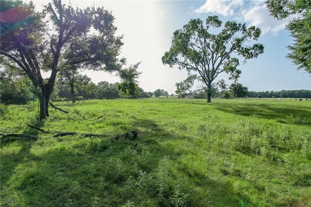 TBD Red Rock Rd, Franklin, TX 77856 - photo 18