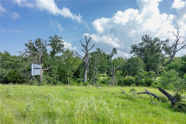 TBD Red Rock Rd, Franklin, TX 77856 - photo 6