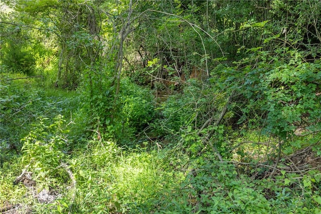 TBD Red Rock Rd, Franklin, TX 77856 - photo 12