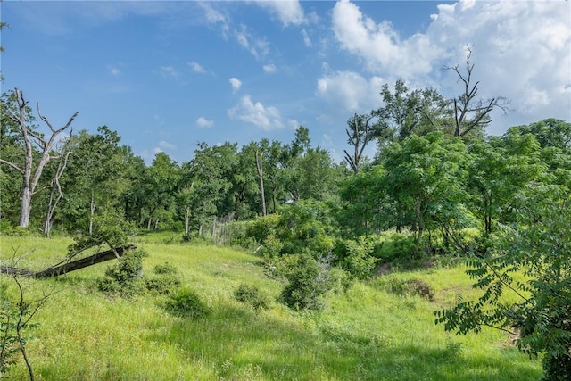 TBD Red Rock Rd, Franklin, TX 77856 - photo 10