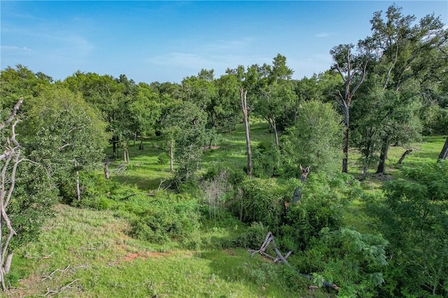 TBD Red Rock Rd, Franklin, TX 77856 - photo 16