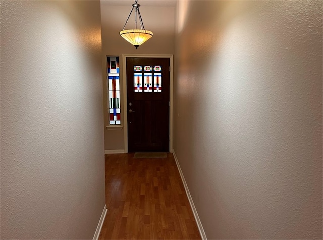 entryway with dark wood-type flooring