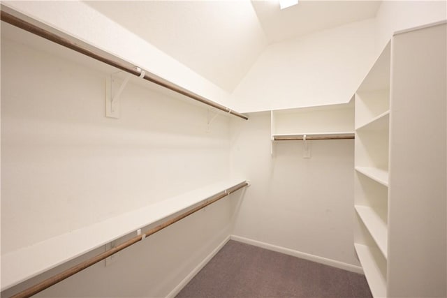 2135 Dumfries Dr, Bryan, TX 77807 - spacious closet featuring carpet and lofted ceiling