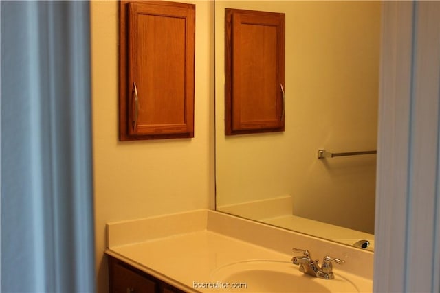 4031 Southern Trace Dr, College Station, TX 77845 - bathroom featuring vanity