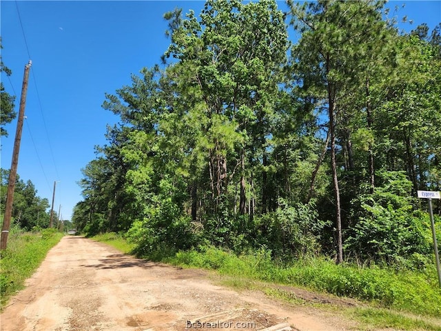 Listing photo 3 for LOT10 Cypress Ct, Plantersville TX 77363