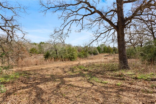 TBD(4.942Acres) Red Fox Lane, Bastrop, TX 78602 - photo 8