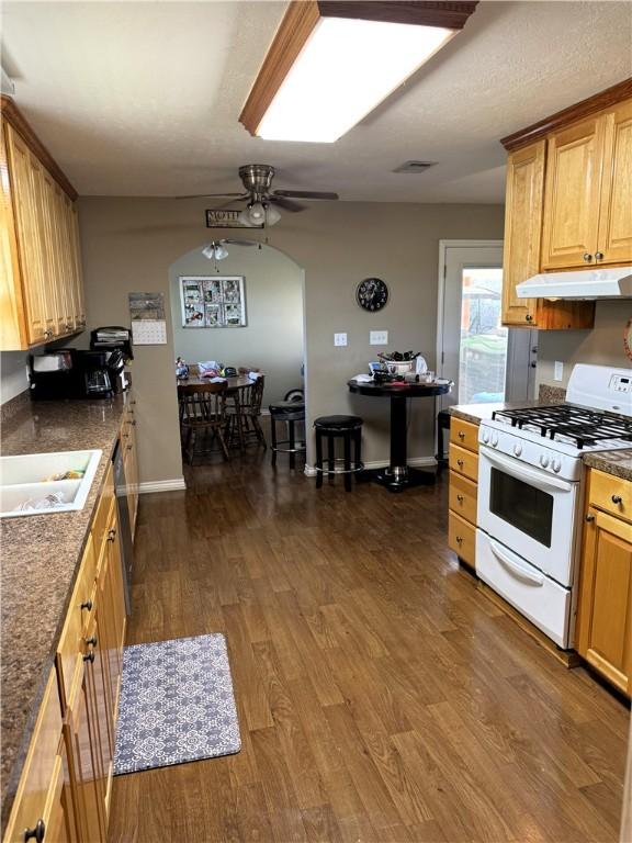 kitchen with ceiling fan, sink, stainless steel dishwasher, white range with gas stovetop, and dark hardwood / wood-style floors