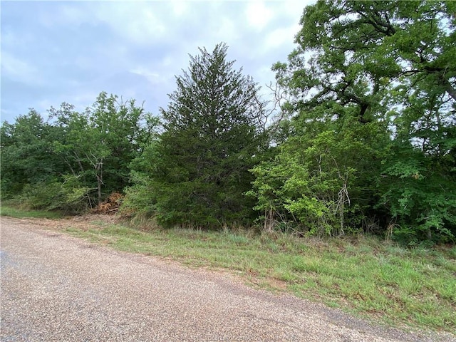 Listing photo 3 for 887 Big Berry Rd, Somerville TX 77879