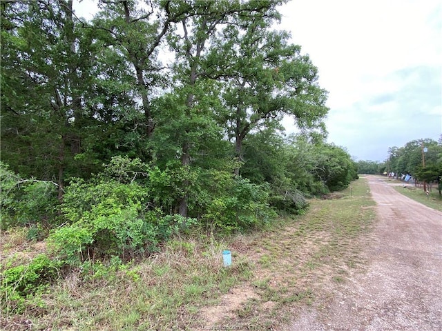 887 Big Berry Rd, Somerville TX, 77879 land for sale