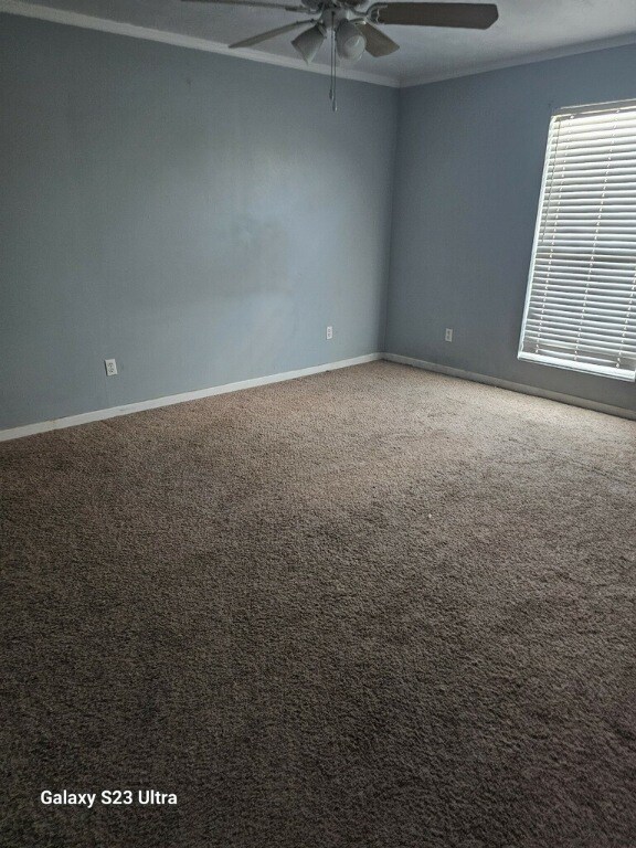 carpeted empty room featuring ceiling fan