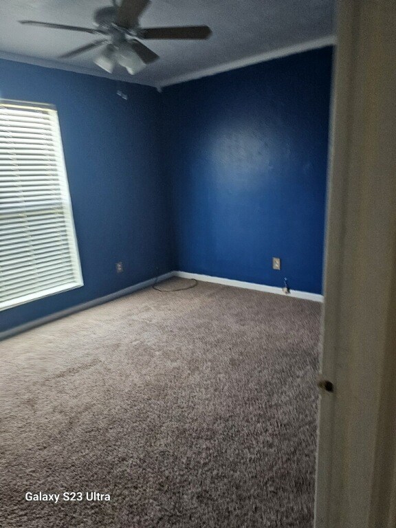 carpeted spare room with ceiling fan