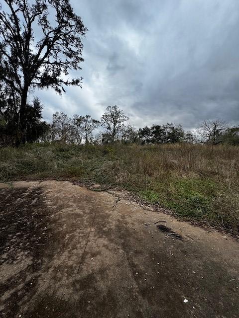 244 Rabbit Trl, Lake Jackson, TX 77566 - photo 7