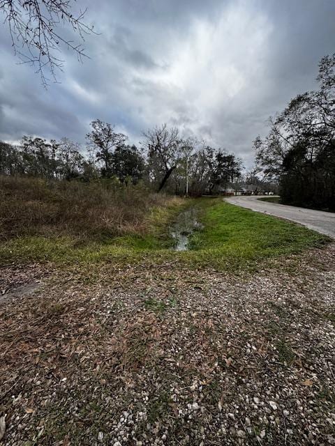 244 Rabbit Trl, Lake Jackson, TX 77566 - photo 4