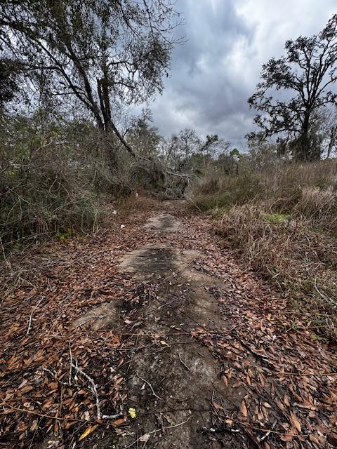 244 Rabbit Trl, Lake Jackson, TX 77566 - photo 5