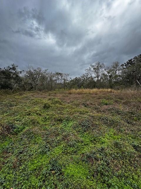 244 Rabbit Trl, Lake Jackson, TX 77566 - photo 10